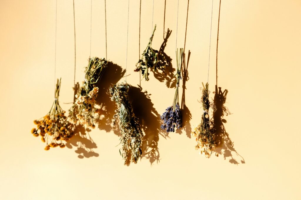How to Identify Authentic Herbal Product Companies in India